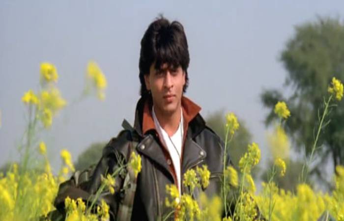 More About Dilwale Dulhania Le Jayenge