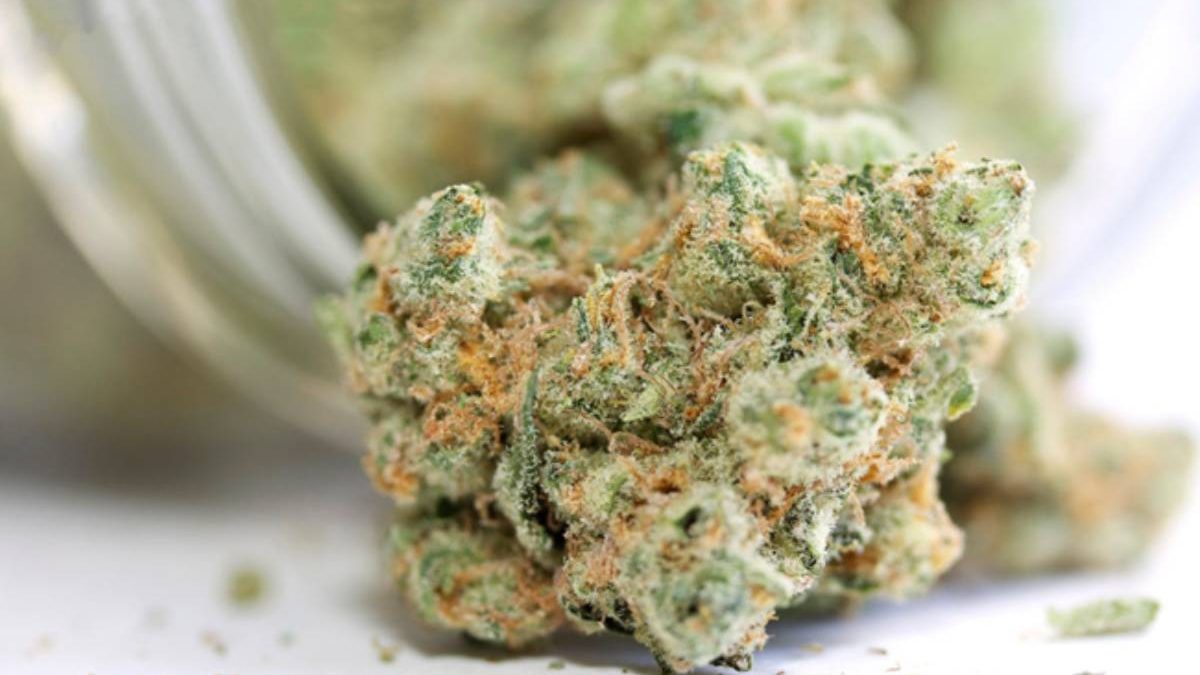 A Couple of Things To Know About The wholesale CBD flower