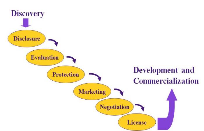 What is the Main Function of a Technology Transfer Office With Respect to Collaborative Research 